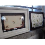 A COLLECTION OF FISHING FLIES, displayed in glazed box-frames (2)