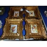 E R BOOTH, WORCESTER; A COLLECTION OF FOUR WILDLIFE STUDIES painted on porcelain in gilt frames