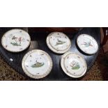 A COLLECTION OF 19TH CENTURY PLATES, each decorated with different tropical bird, within a border of