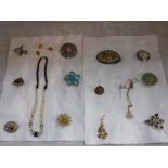 A LARGE COLLECTION OF COSTUME JEWELLERY BROOCHES including some set with mother-of-pearl and a