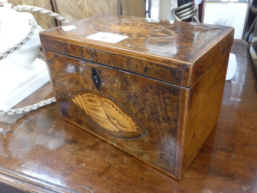 A 19TH CENTURY BURRWOOD TEA CADDY, 7.25" wide