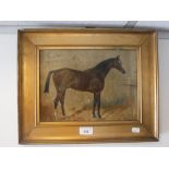 AN OIL ON CANVAS STUDY OF A RACEHORSE 'Sarpedon', signed E Price