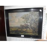 AN EARLY 20TH CENTURY OIL ON CANVAS, Woodland scene, and a seascape (2)