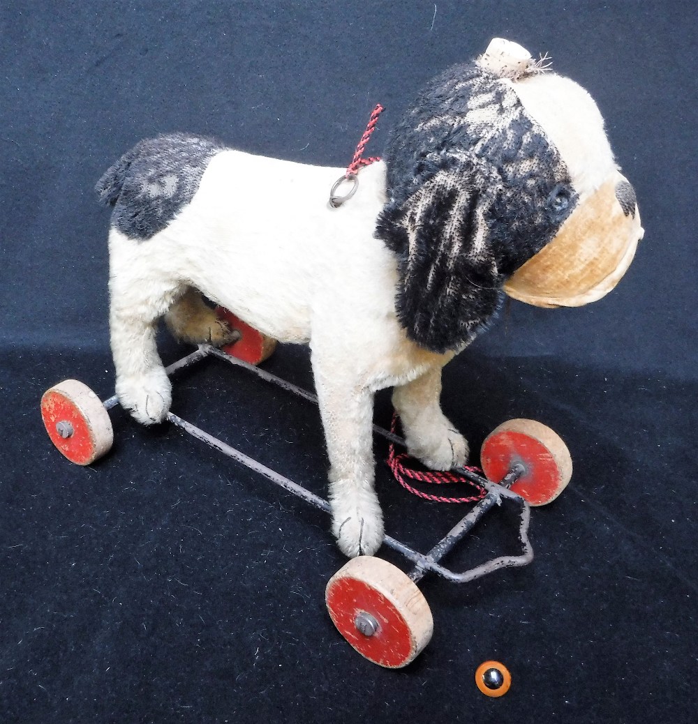 A STEIFF PULL-ALONG 'BULLY' BULLDOG, covered in black and white plush, with a swivel head and velvet - Image 2 of 3