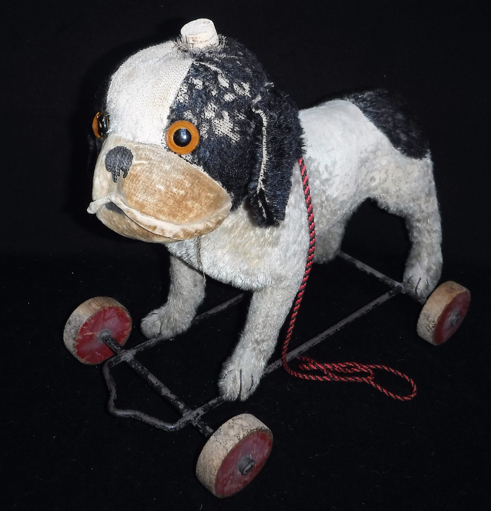 A STEIFF PULL-ALONG 'BULLY' BULLDOG, covered in black and white plush, with a swivel head and velvet