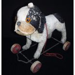 A STEIFF PULL-ALONG 'BULLY' BULLDOG, covered in black and white plush, with a swivel head and velvet