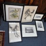 A COLLECTION OF TOPOGRAPHICAL AND BOTANICAL PRINTS and Chinese horses