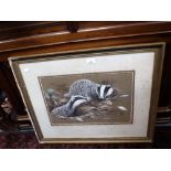 DAVID PARRY: Badgers in their sett, watercolour