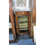 AN EDWARDIAN BOWFRONTED MAHOGANY GLAZED DISPLAY CABINET, 54" high x 23" wide