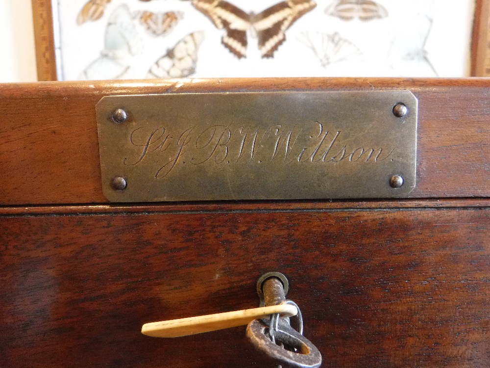 A 19TH CENTURY MAHOGANY MILITARY PHYSICIAN'S BOX, with brass plaque engraved 'Pt B.W. Willson', with - Image 2 of 3