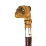 Wooden walking stick with celluloid pommel in the form of a boxer dogs head and silver collar,