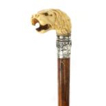 Victorian Malacca walking stick with carved ivory pommel in the form of a lions head and beaded