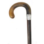 Exotic wood walking stick with rhino horn handle, silver collar engraved 'presented to Mr John