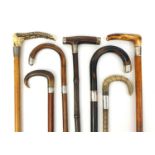 Group of six walking sticks and one riding crop, mostly with silver collars including Malacca and
