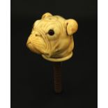 Victorian carved ivory walking stick pommel in the form of a boxer dogs head, 7cm high : For Further