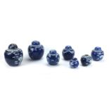 Seven Chinese blue and white porcelain ginger jars and covers, each hand painted with Prunus