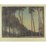E L Rawlins - Tall trees, watercolour, part labels verso, mounted and framed, 44cm x 33cm