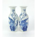 Pair of Chinese blue and white porcelain baluster shaped vases, both hand painted with birds and