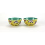 Pair of Chinese porcelain bowls, both hand painted in the famille rose palette with butterflies