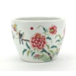 Chinese porcelain planter, hand painted in the famille rose palette with birds of paradise and