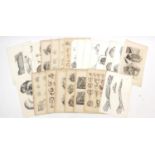 Portfolio of antique anatomical engravings, some coloured, each 53cm x 35cm : For further