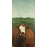 Cow in the meadow, oil onto wood panel, bearing a signature Donnelly and inscription verso,