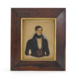 Rectangular hand painted portrait of a gentleman wearing a cravat, housed in a rosewood frame,