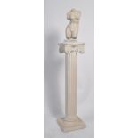 A large plaster column bust stand of neo-classical form surmounted atop with a 3/4 plaster study