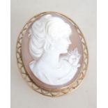 A hallmarked 9ct gold shell cameo brooch depicting