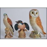 A group of three Beswick ceramic bird figures to include Kingfisher, Kestrel and Barn Owl. Measures: