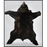 A large antique mounted Van Ingen Bearskin / Beak Skin complete with the claws being set to a wooden