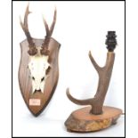 A vintage taxidermy skull and horns mounted on an armorial shield along with a single mounted horn