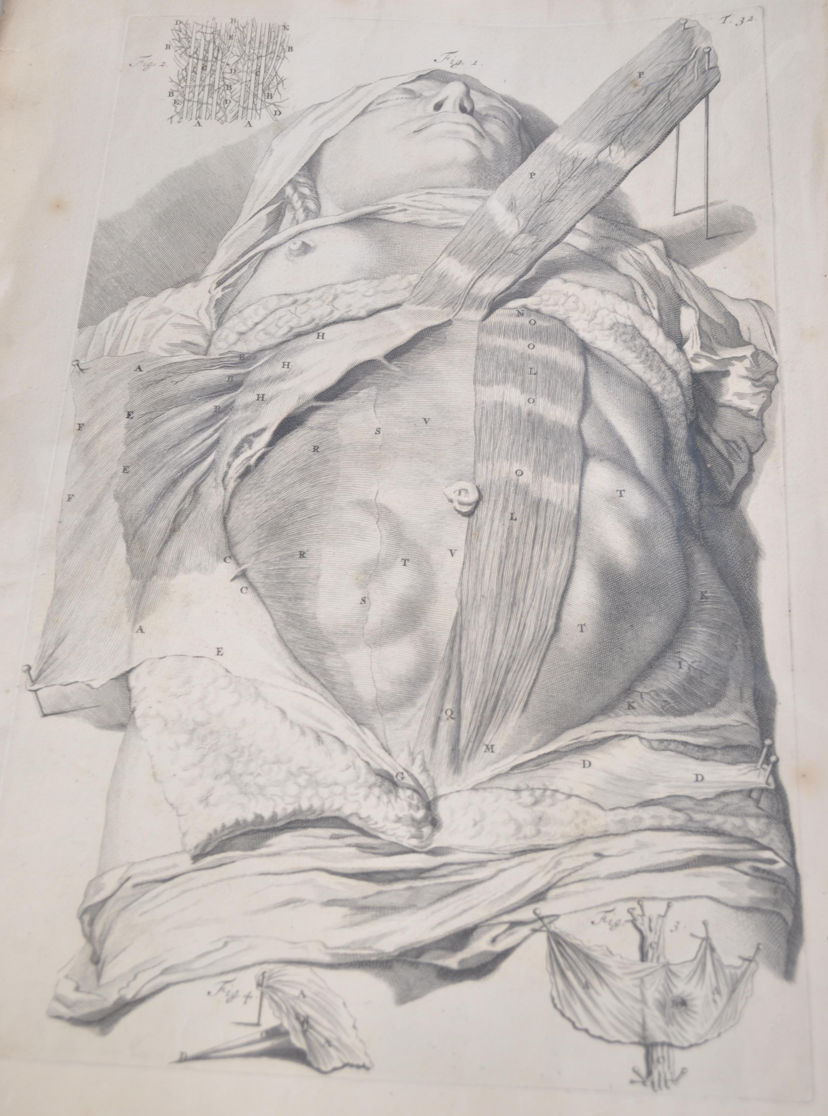 A collection of believed anatomical original pages from Govard Bidloo's ' Anatomia Humai - Image 8 of 18