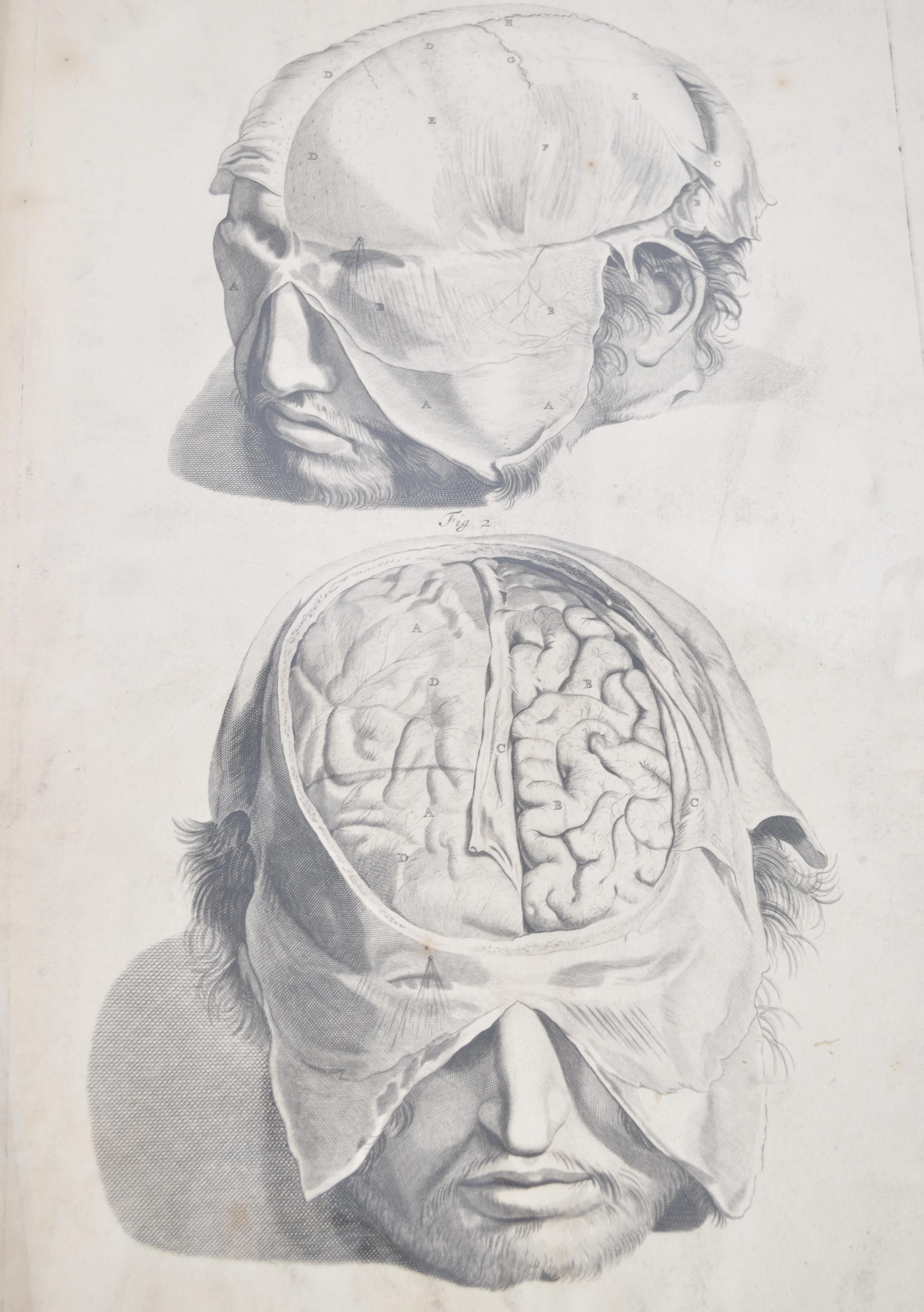 A collection of believed anatomical original pages from Govard Bidloo's ' Anatomia Humai - Image 3 of 18