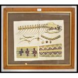 An unusual 20th century wooden framed anatomical depiction of a snake appearing to a plate from