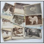 A collection of postcards dating from the early 20th century to include topographical, coastal, dogs