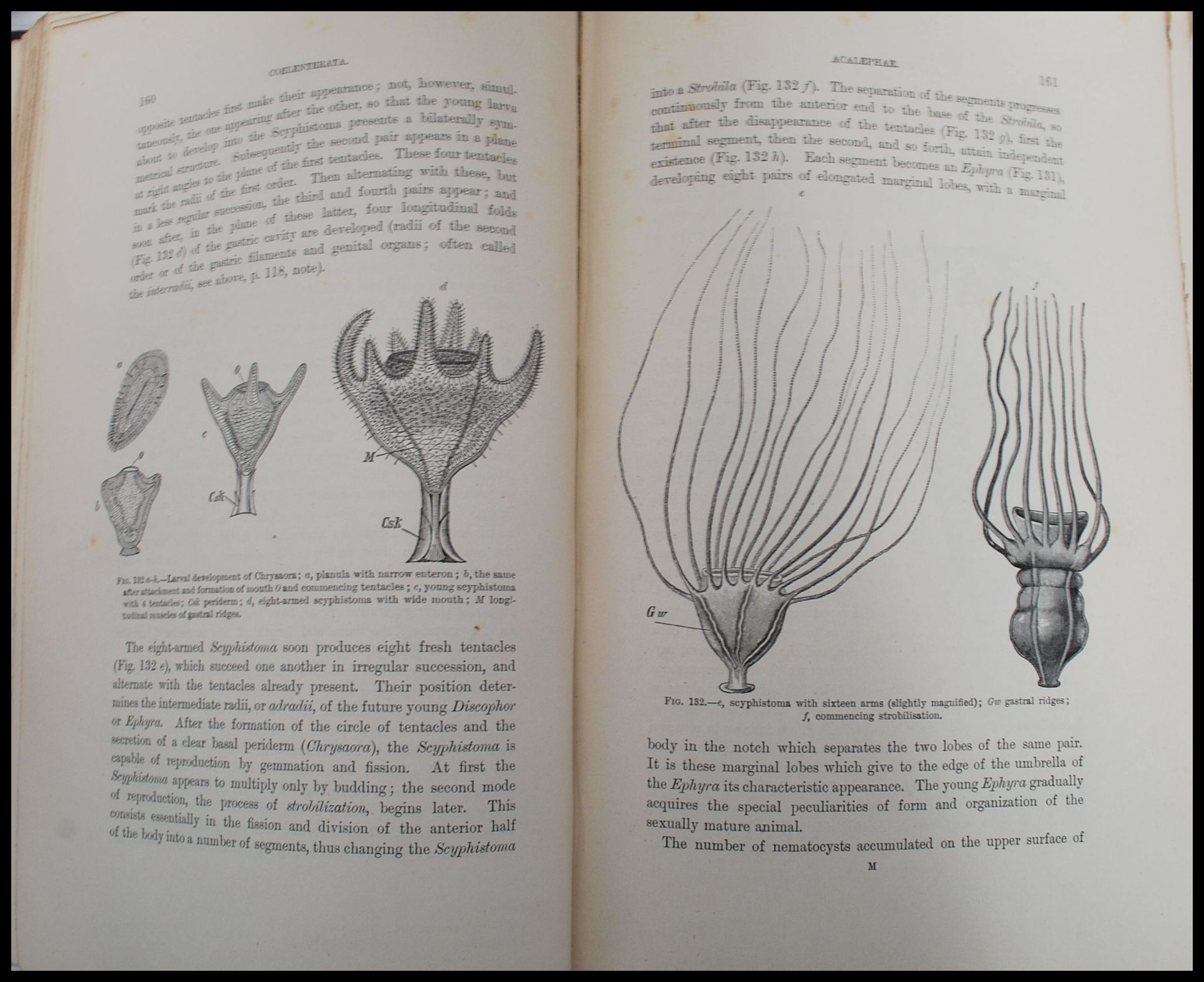 A collection of Antique Georgian and Victorian 19th century mainly leather bound books to include - Image 6 of 21