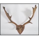 Taxidermy Interest. A good set of vintage mounted stags - deer antlers being set to an armorial