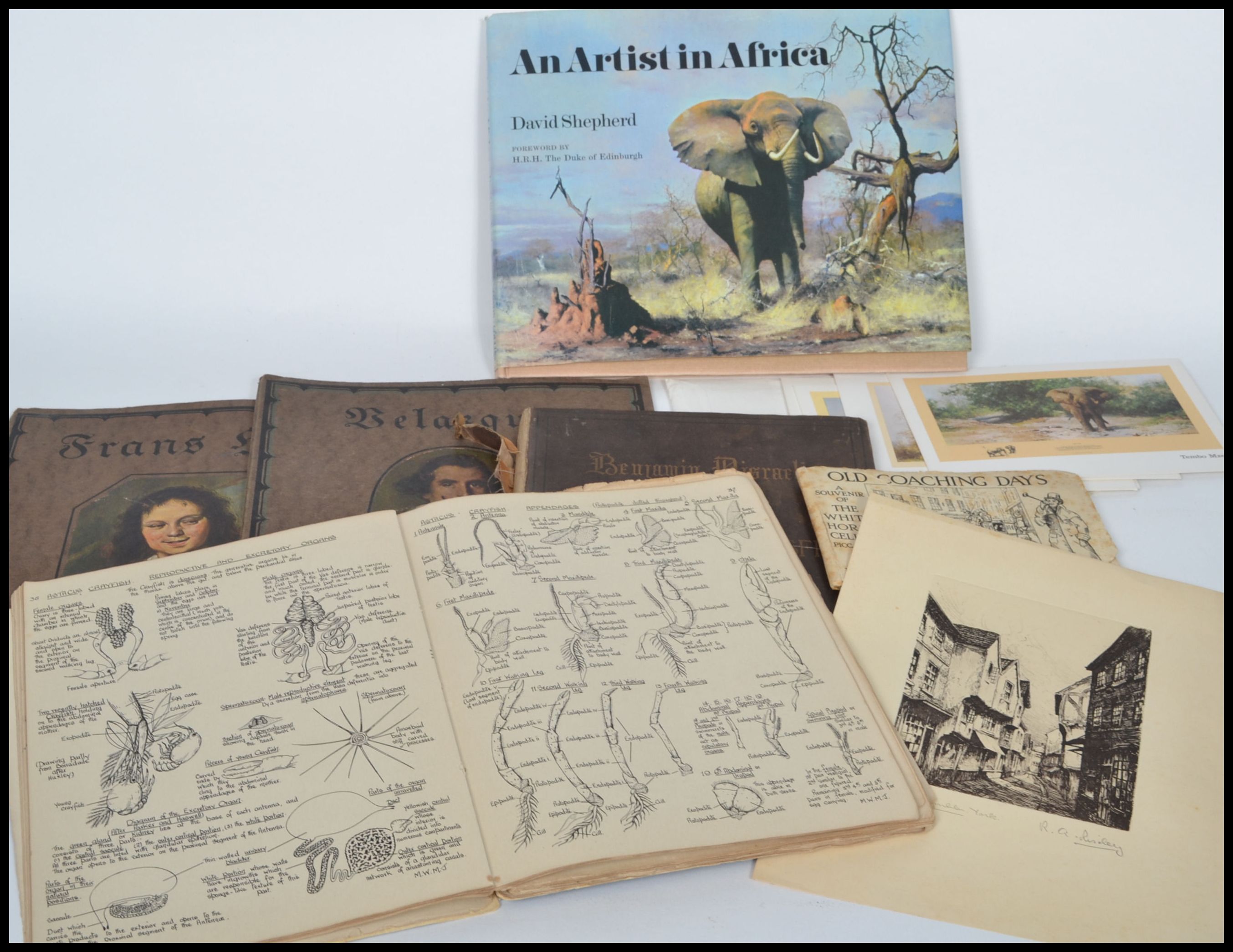 A signed David Shepherd hardback book entitled ' An Artist In Africa ' being signed to