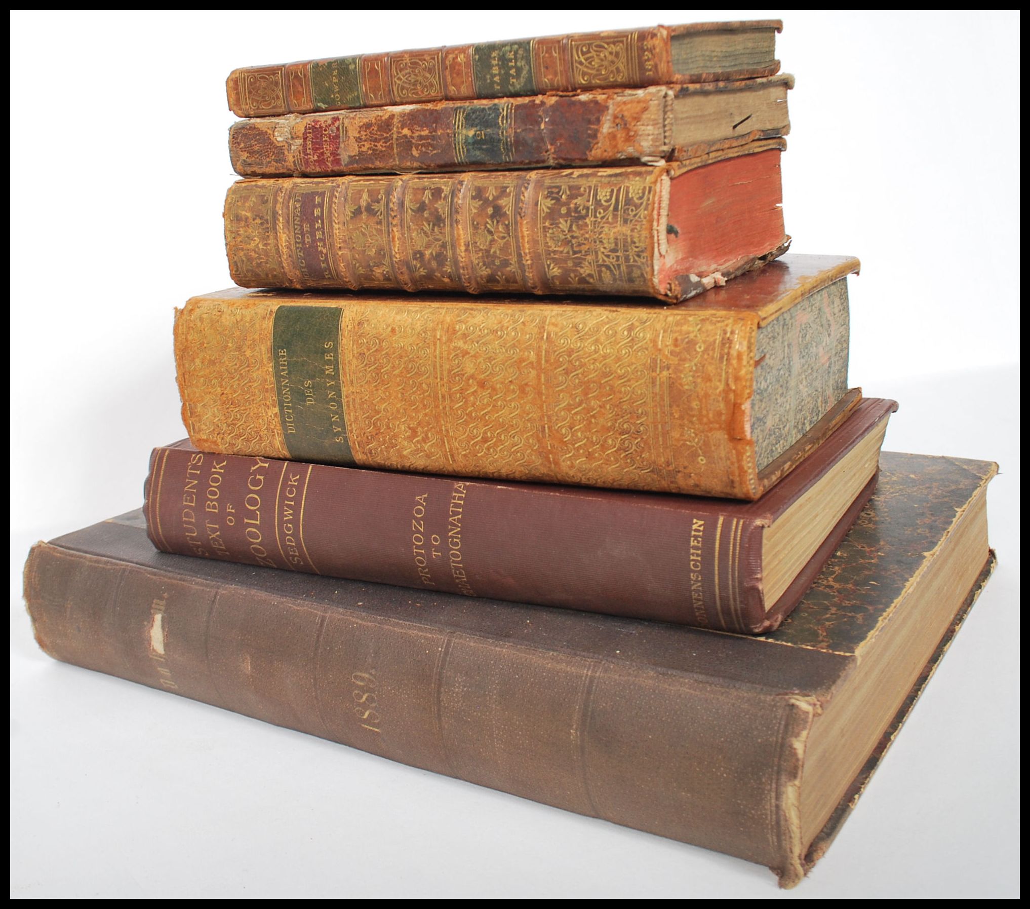 A collection of Antique Georgian and Victorian 19th century mainly leather bound books to include