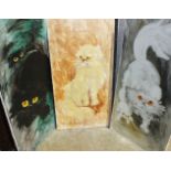 Anne Hudson, a collection of six oil paintings on hardboard, 'Study of Cats', 45.5 x 91cm, (6).