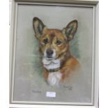 Marjorie Cox, Shan, a crayon drawing of a corgi, signed and dated 1972, 42 x 32.5cm and other