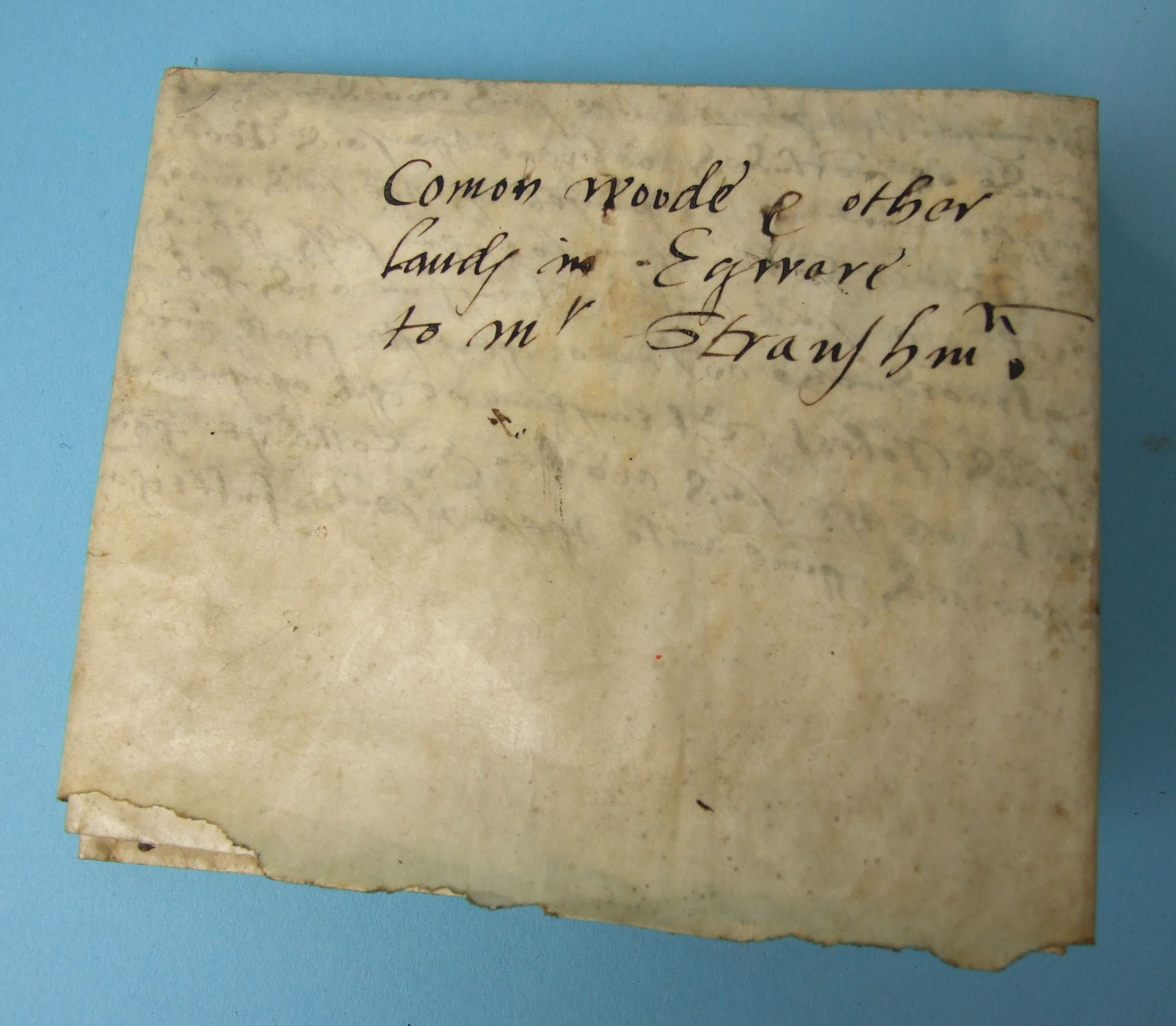 A 16th century Elizabeth I vellum Indenture regarding "Canon Woode and other Landes in Edware to - Image 3 of 5