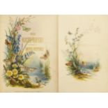 Jerrard (Paul & Son, Publishers), The Night Flyers, A Series of Moth Pictures, decorative gilt litho