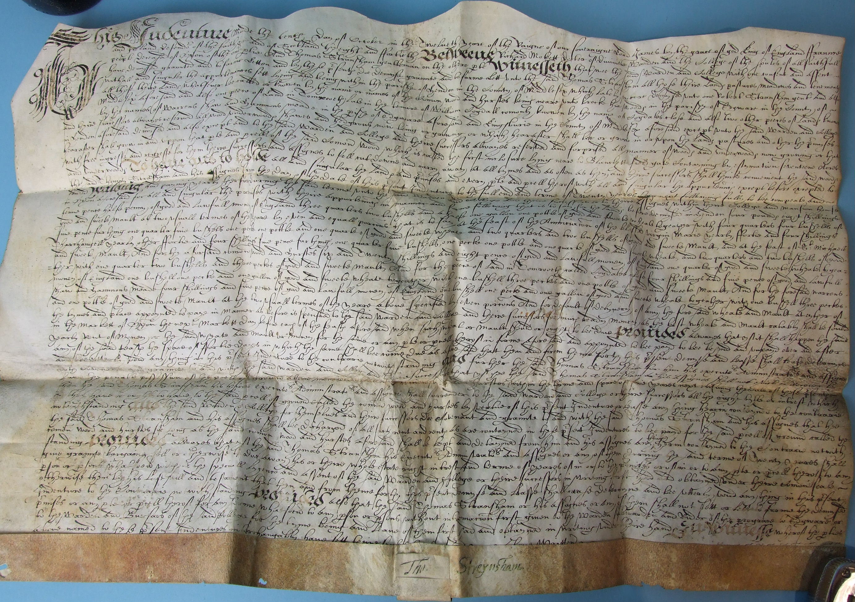 A 16th century Elizabeth I vellum Indenture regarding "Canon Woode and other Landes in Edware to - Image 4 of 5