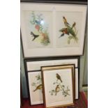 After J Gould & H C Richter, a collection of eleven coloured bird prints, (three framed as two)