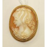 A modern shell cameo brooch, with 9ct gold mount.