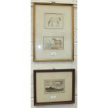 19th Century English school, a watercolour sketch of a mare, dam of Benninton, 11.4 x 14cm with