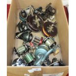 A collection of fourteen sea fishing reels, including Alvey 455, 515, Penn No.100, No.10, No.160,