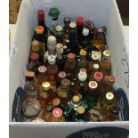 A collection of approximately sixty miniature bottles of Whisky, etc.